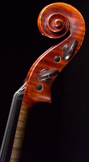 violon-alefrancois-4.jpg